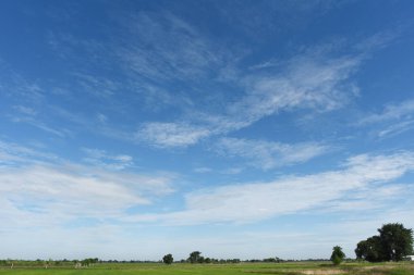Yeşil alanlar ve beyaz bulutlarla mavi gökyüzü arkaplanı.