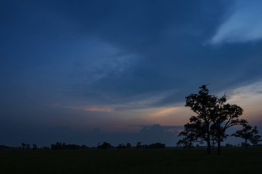 Güzel gün batımı manzarası Baharda mavi ışık.