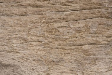 Doğal eski ahşap doku arka plan. 