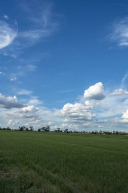 Yeşil alanlar ve beyaz bulutlarla mavi gökyüzü arkaplanı.