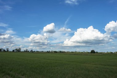Yeşil alanlar ve beyaz bulutlarla mavi gökyüzü arkaplanı.
