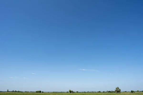 青い空の背景と緑のフィールド. — ストック写真