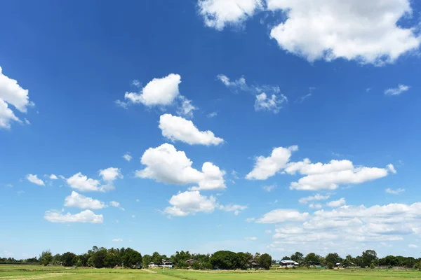 Blue sky background with green fields and white clouds.