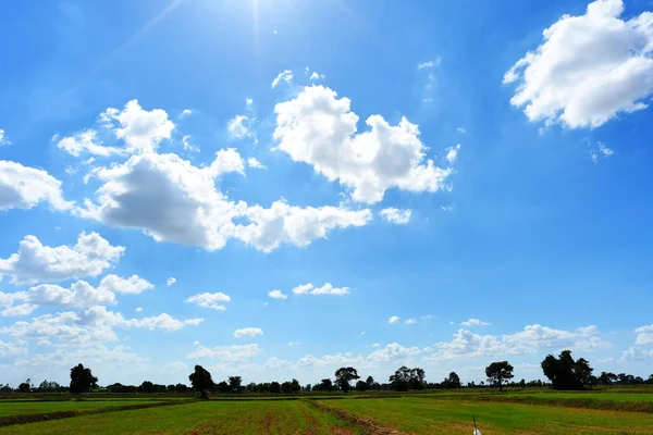 Blauer Himmel Hintergrund mit grünen Feldern und weißen Wolken. — Stockfoto