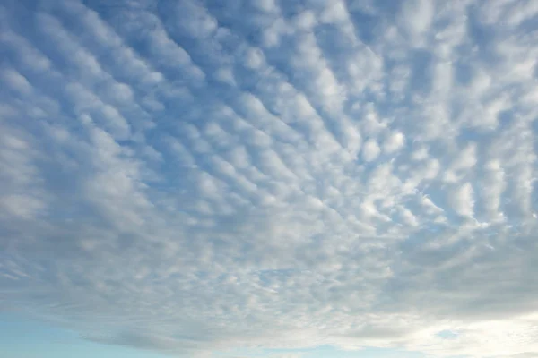 Cielo azul con nubes blancas, (nubes Cirrocumulus ). — Foto de Stock