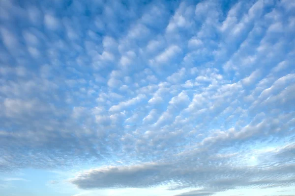 Cielo azul con nubes blancas, (nubes Cirrocumulus ). — Foto de Stock