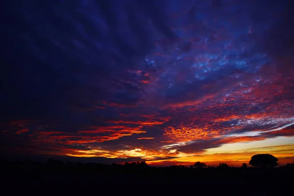 Bela paisagem do pôr do sol Luz azul Na primavera . — Fotografia de Stock