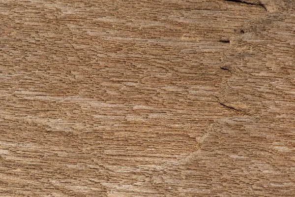Latar belakang tekstur kayu alami . — Stok Foto