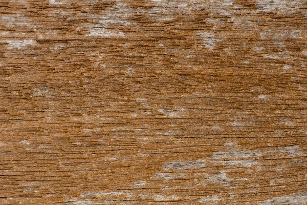 Fondo de textura de madera vieja natural . — Foto de Stock