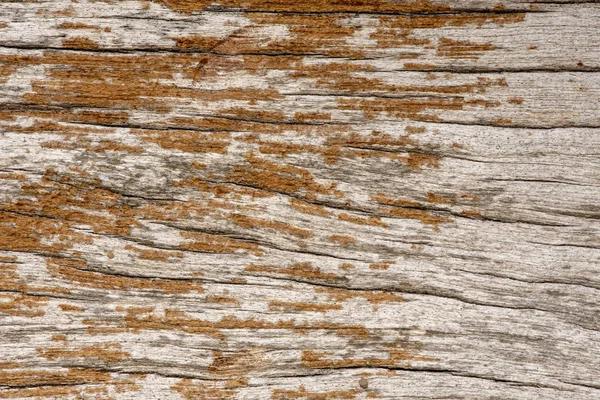Φυσικό παλιό ξύλο υφή φόντου. — Φωτογραφία Αρχείου