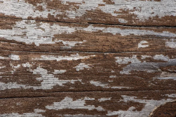 Természetes régi fa texture háttér. — Stock Fotó