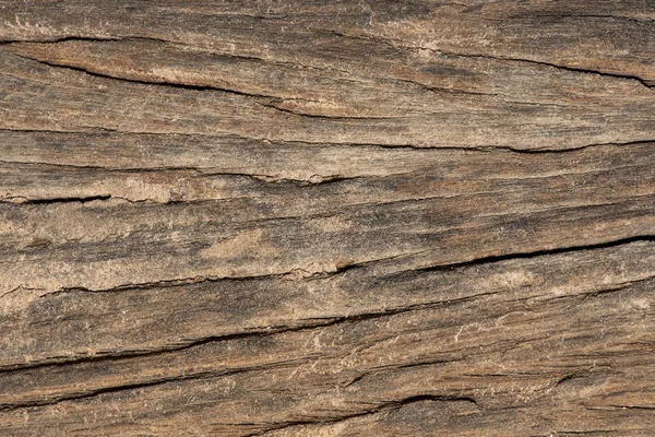 Natural old wood texture background. — Stock Photo, Image