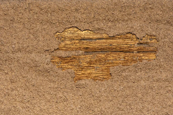 Traces of termites eat wood,animals that destroy wood. — Stock Photo, Image
