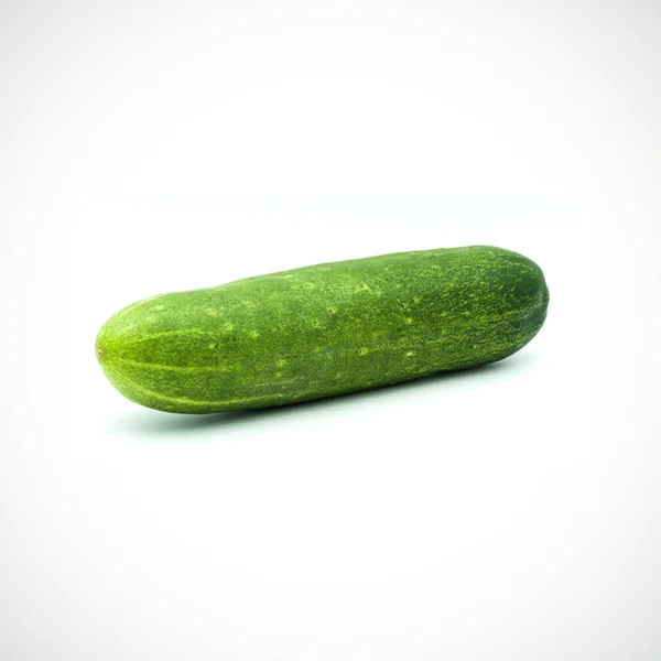 One cucumber on a white background — Stock Photo, Image