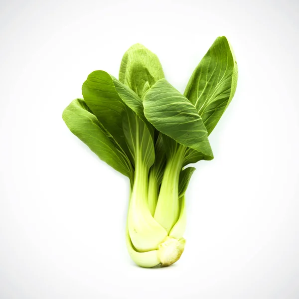 Pok choi grünes Gemüse auf weißem Hintergrund — Stockfoto