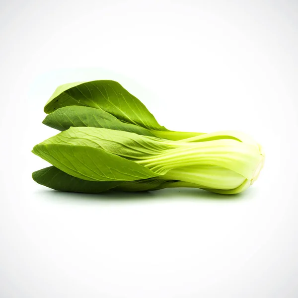 Pok Choi verduras verdes sobre fondo blanco — Foto de Stock
