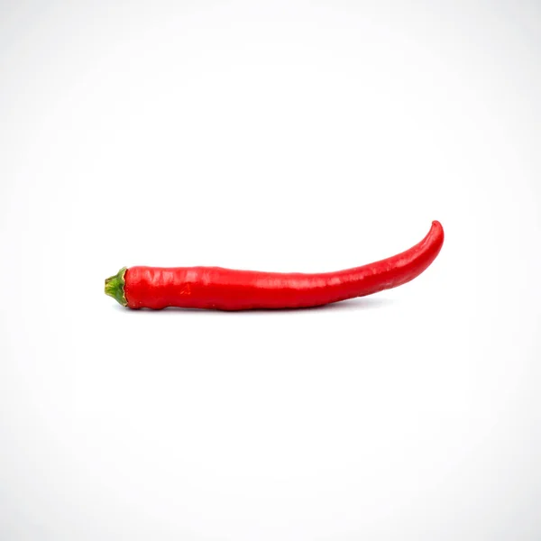 Red hot chili pepper isolated on the white background. — Stock Photo, Image