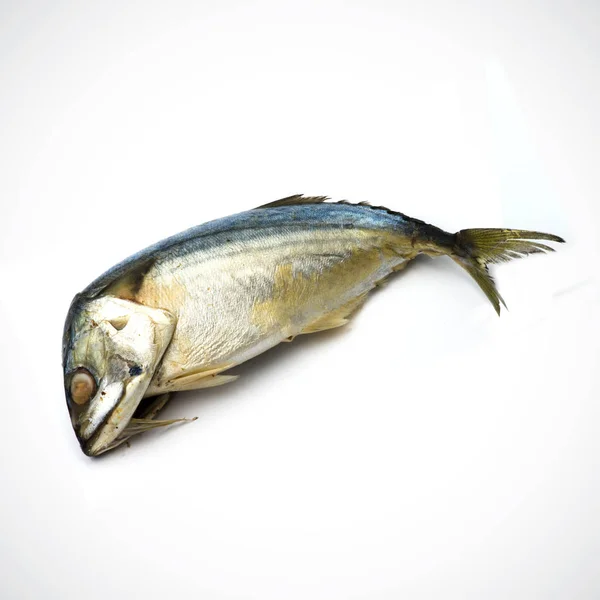 Steamed mackerel Isolated on the white background. — ストック写真