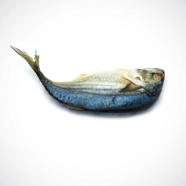 Steamed mackerel Isolated on the white background. — ストック写真