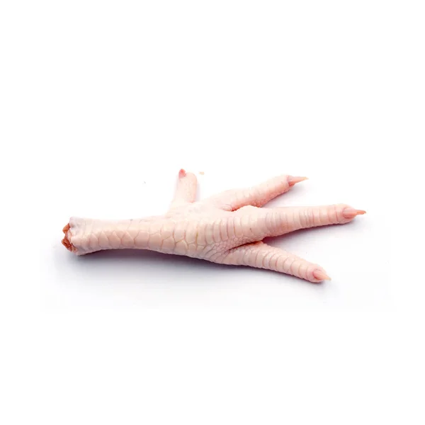 Pies de pollo fresco aislados sobre el fondo blanco. — Foto de Stock