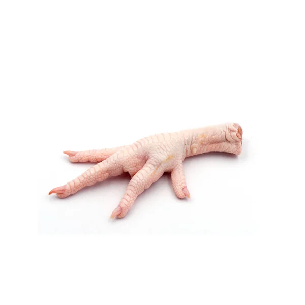 Fresh chicken feet Isolated on the white background. — Stock Photo, Image