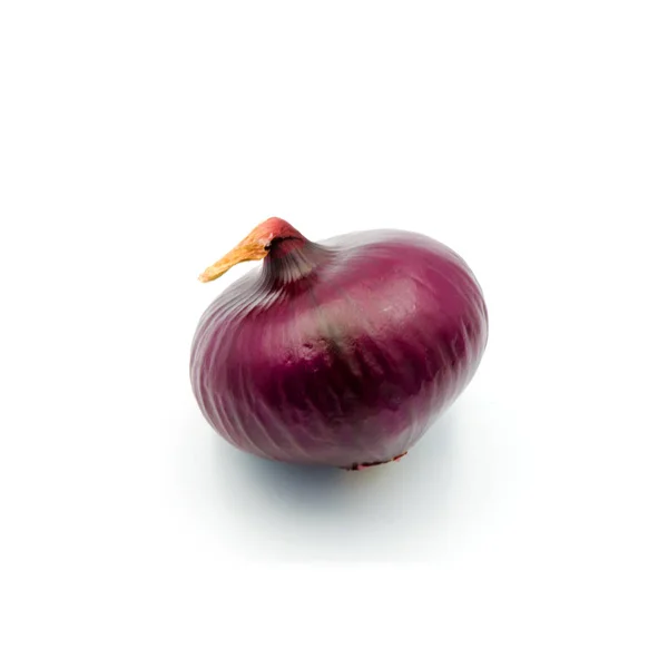 Frische Zwiebel rot isoliert auf weißem Hintergrund. — Stockfoto