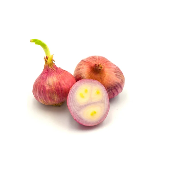 Germinar la cebolla roja aislada sobre el fondo blanco . — Foto de Stock