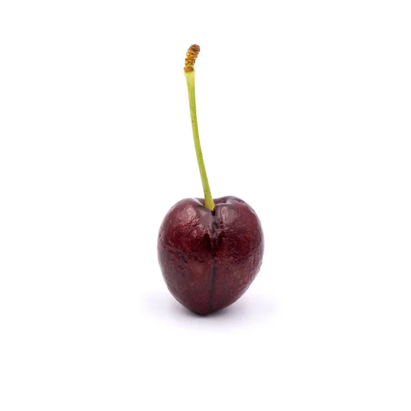 Reddish-purple cherries that are isolated on the white backgroun — 스톡 사진