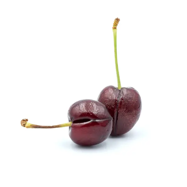 Reddish-purple cherries that are isolated on the white backgroun — 스톡 사진