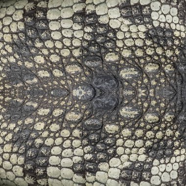 Deri yapmak için hakiki timsah derisi arkaplan resmi.