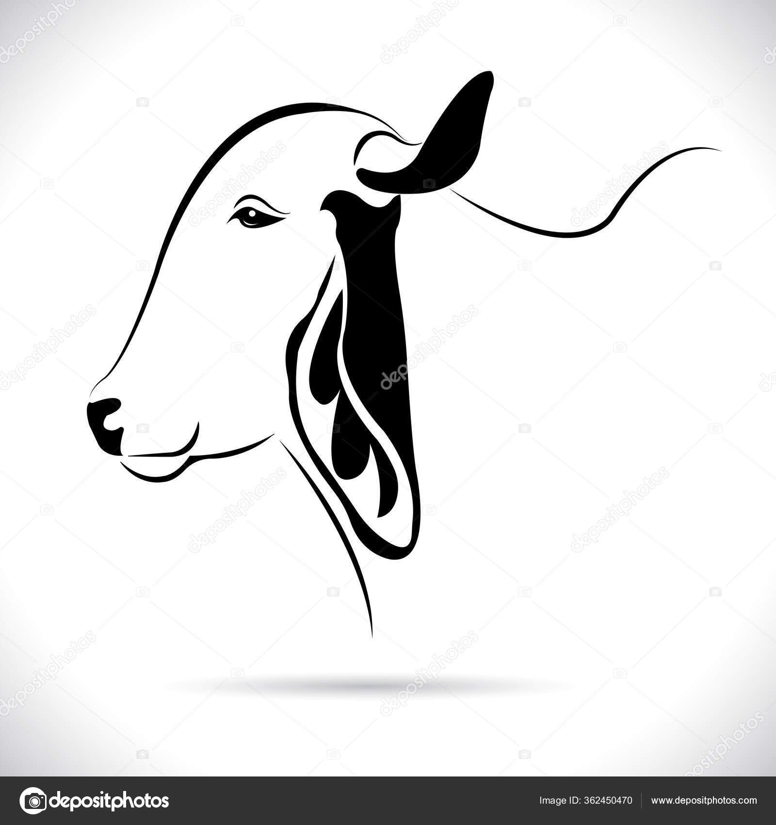 Vector Picture Cow Head Design Logo Design Farm Animals Black Stock Vector  by ©KE.Take a photo 362450470, image size:1600x1700