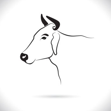 İnek kafası tasarımı, logo tasarımı, çiftlik hayvanları, siyah beyaz resim, beyaz arka planda çizgi hayvanı..  