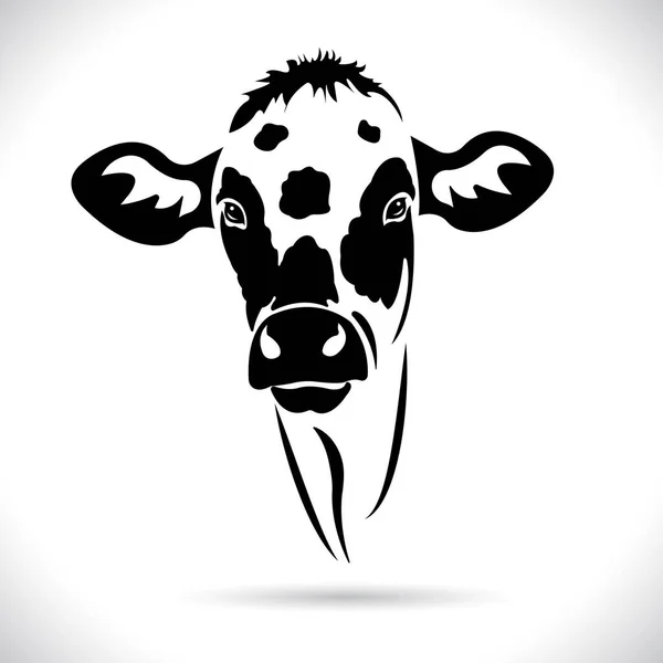 Vektor Desain Kepala Sapi Desain Logo Farm Animals Gambar Hitam - Stok Vektor