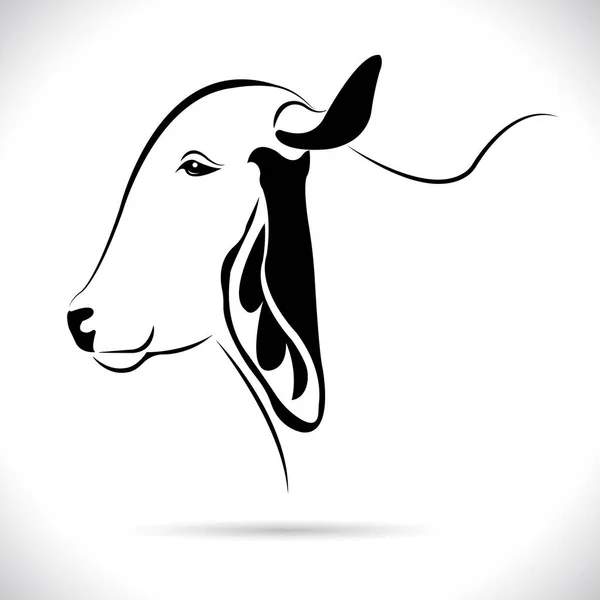 Vecteur Conception Tête Vache Image Conception Logo Animaux Ferme Image — Image vectorielle