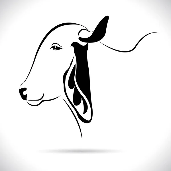 Vector Picture Cow Head Design Logo Design Farm Animals Black — Stock Vector