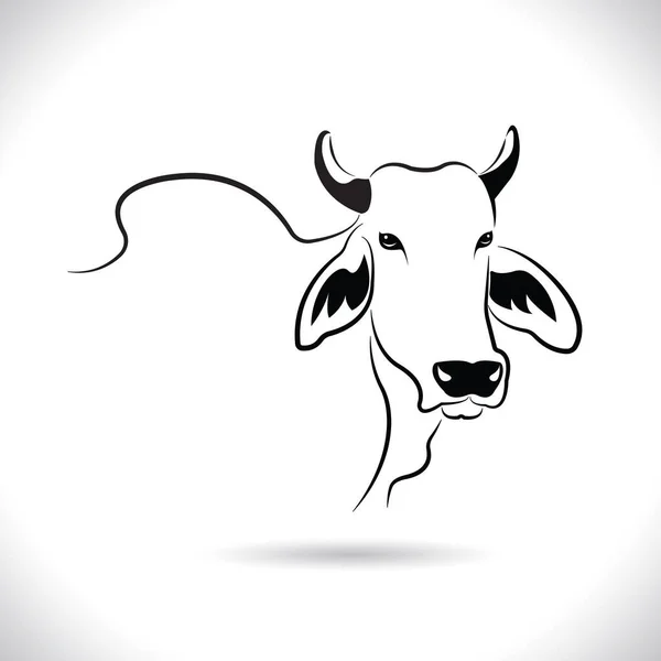 Vector Picture Cow Head Design Logo Design Farm Animals Black — Stock Vector