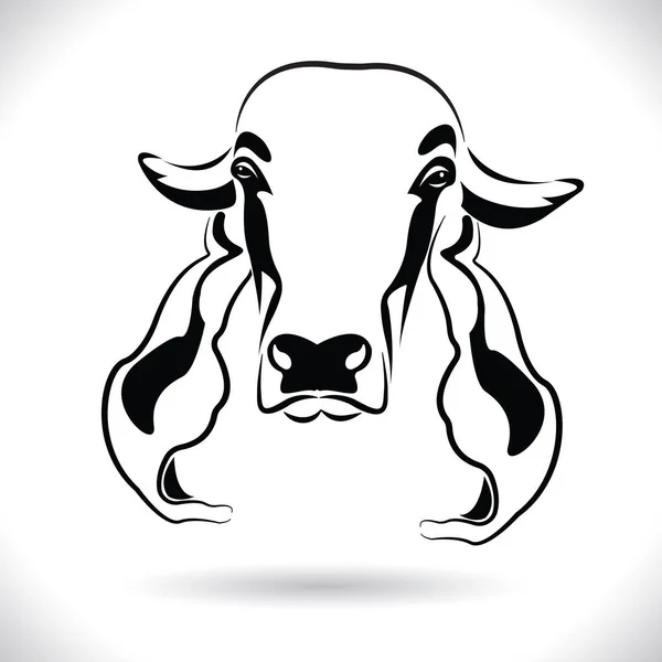 Vettore Disegno Testa Mucca Immagine Disegno Logo Animali Fattoria Immagine — Vettoriale Stock