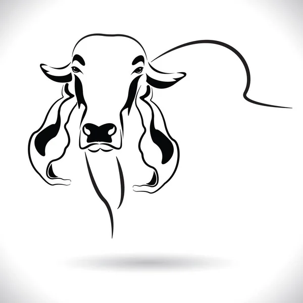 Vector Picture Cow Head Design Logo Design Farm Animals Black — Stock Vector