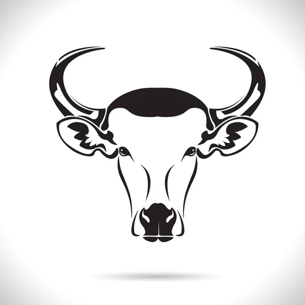 Vector Diseño Cabeza Vaca Imagen Diseño Logotipo Animales Granja Imagen — Archivo Imágenes Vectoriales