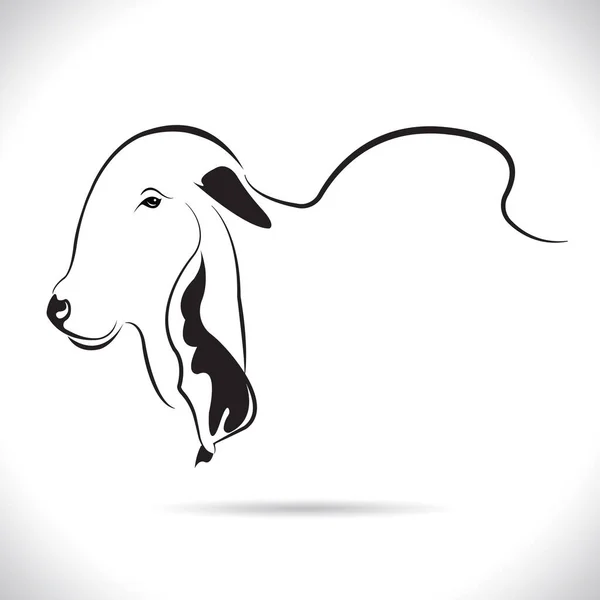 İnek kafası tasarımı, logo tasarımı, çiftlik hayvanları, siyah beyaz resim, beyaz arka planda çizgi hayvanı..  