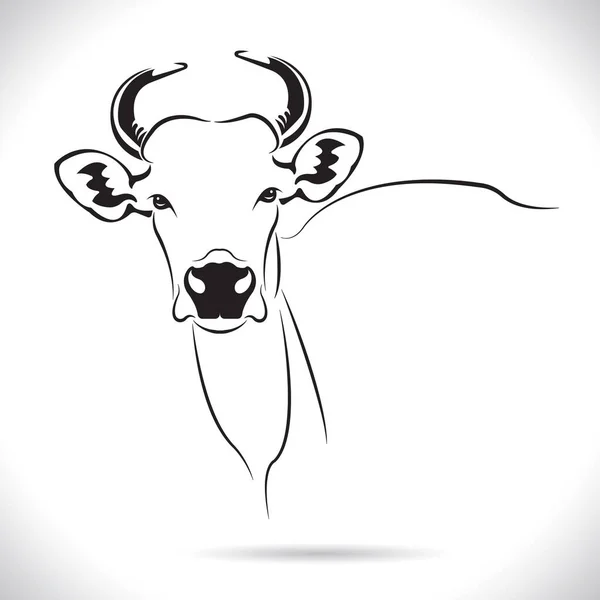 Vettore Disegno Testa Mucca Immagine Disegno Logo Animali Fattoria Immagine — Vettoriale Stock