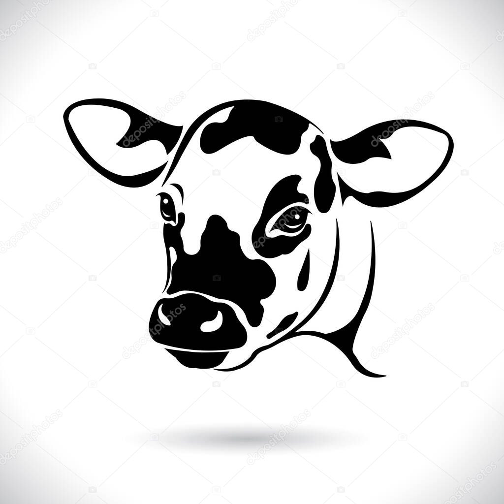 Vector of picture cow head design ,logo design,Farm Animals,Black and white picture,Line animal,on the white background.  