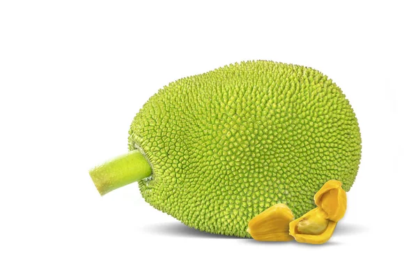 Jackfruit Artocarpus Heterophyllus Lam Isolated White Background — Stock Photo, Image