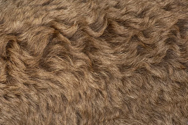 Fleece Bruin Close Van Fleece Achtergrond Exture — Stockfoto