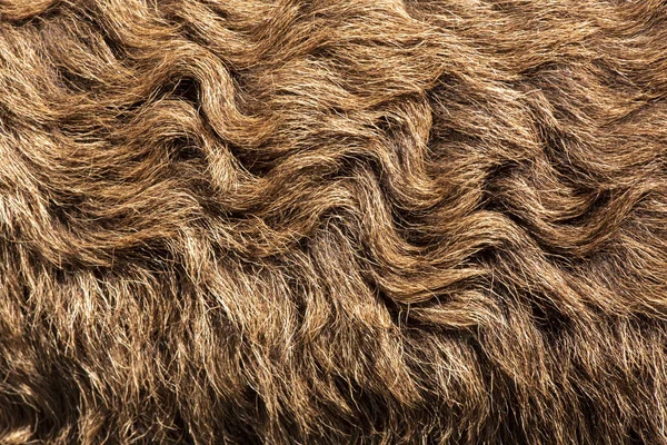 Fleece Brun Närbild Fleece Exture Bakgrund — Stockfoto