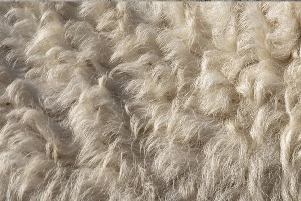 Fleece Wit Close Van Fleece Achtergrond Exture — Stockfoto