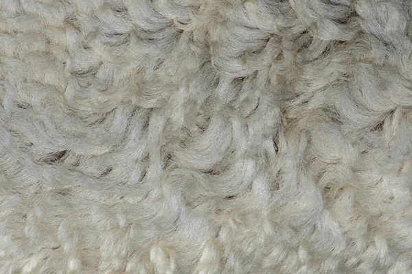 Fleece White Close Fleece Exture Background — Stock Photo, Image