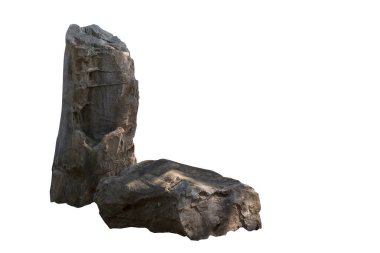 Beyaz zemin üzerinde büyük taş kahverengi (bogwood) izole.