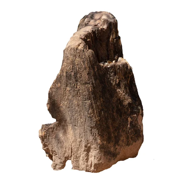 Grande Pedra Marrom Bogwood Isolado Fundo Branco — Fotografia de Stock