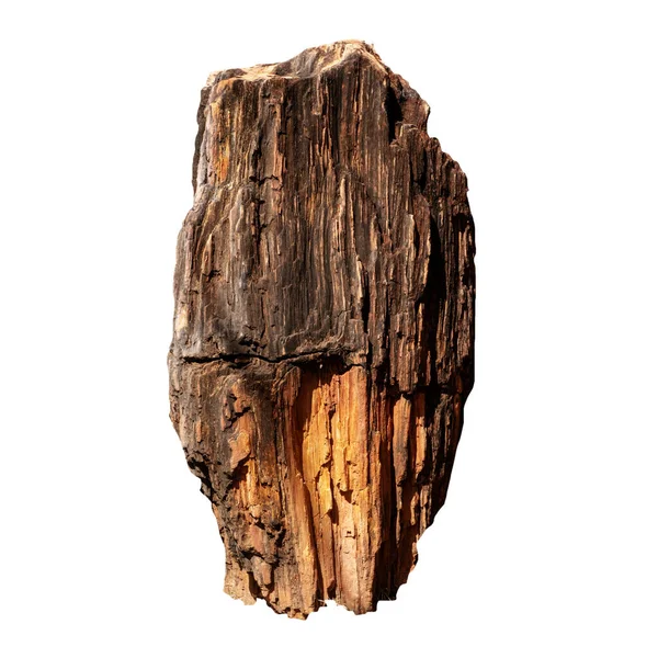 Grande Pedra Marrom Bogwood Isolado Fundo Branco — Fotografia de Stock